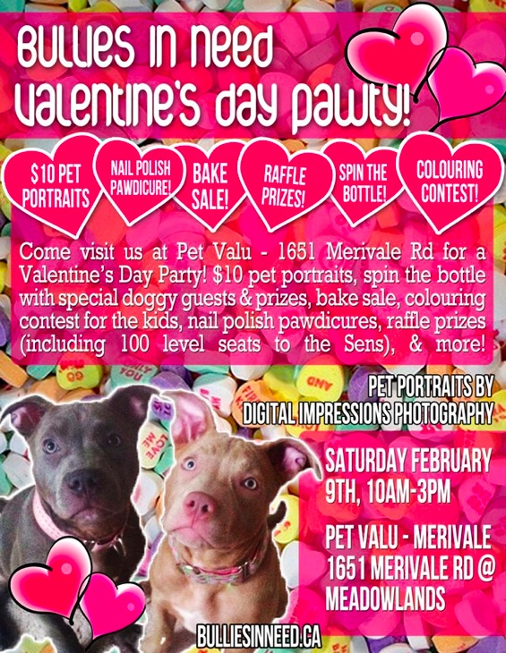 Bullies In Need Valentines Party